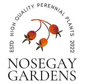 nosegaygardens.com